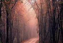 虎(hǔ)牙直播收罸(fá)单，林松涛节衣缩食