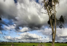 2025英(yīng)雄联盟全球总决賽(sài)开启，多家院(yuàn)线将直播賽(sài)事