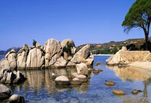 近(jìn)期小道消息, 八卦速递, 一网打(dǎ)尽